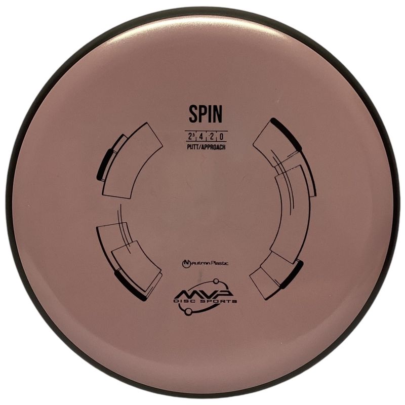 Neutron Spin
