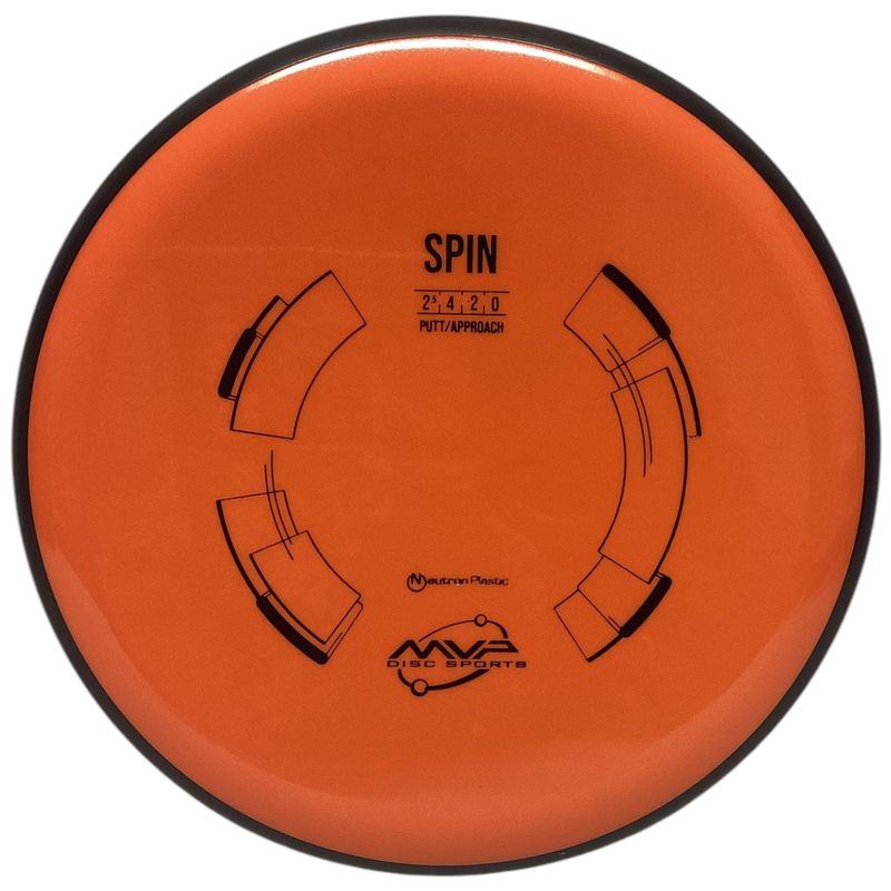 Neutron Spin