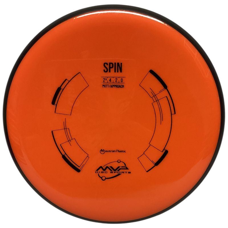 Neutron Spin