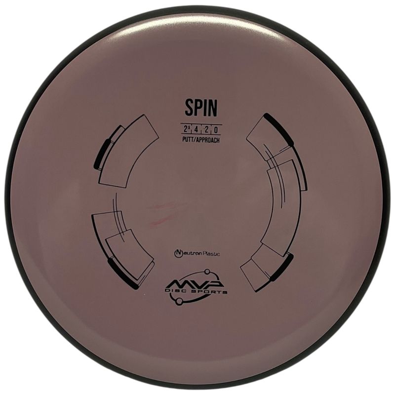 Neutron Spin
