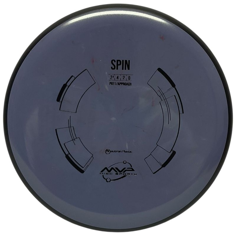Neutron Spin