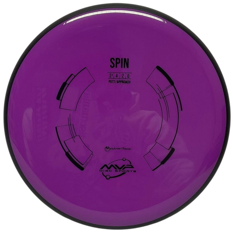 Neutron Spin