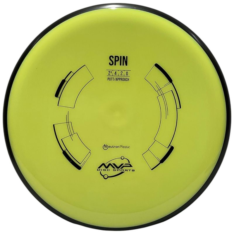 Neutron Spin