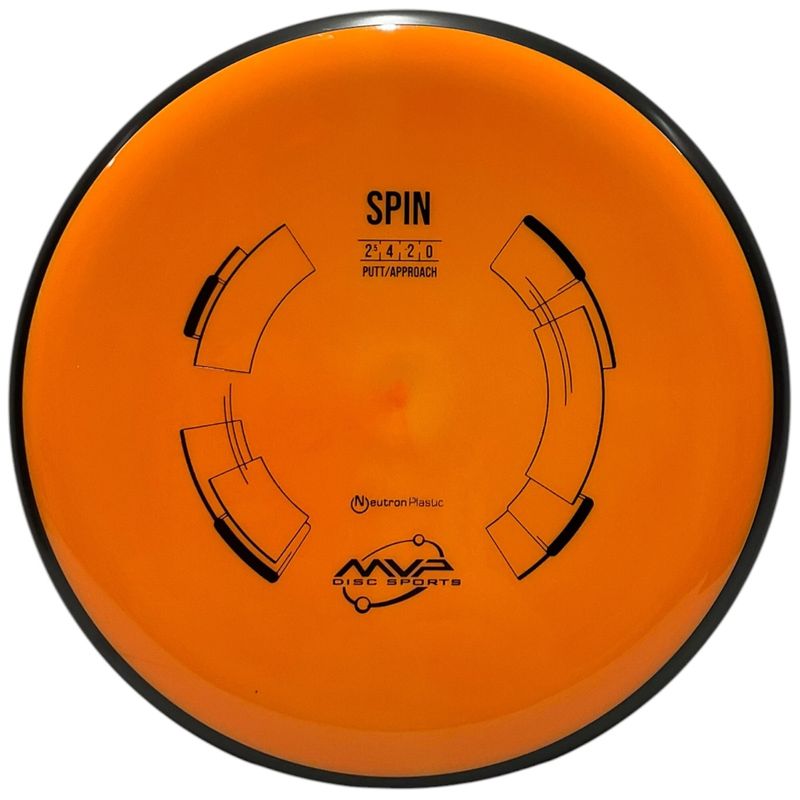 Neutron Spin