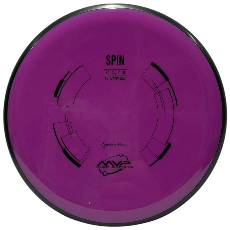 Neutron Spin