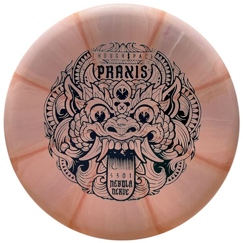 Nebula Nerve Firm Praxis